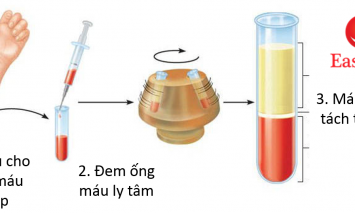 sử dụng ống thu thập máu