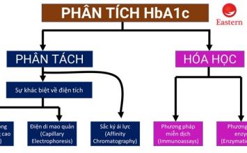 xét nghiệm HbA1c