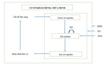 quản lý chất lượng xét nghiệm