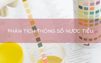 phân tích thông số nước tiểu