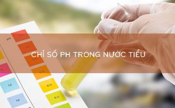 chỉ số ph trong nước tiểu