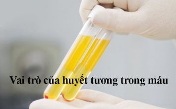 vai trò của huyết tương trong máu 