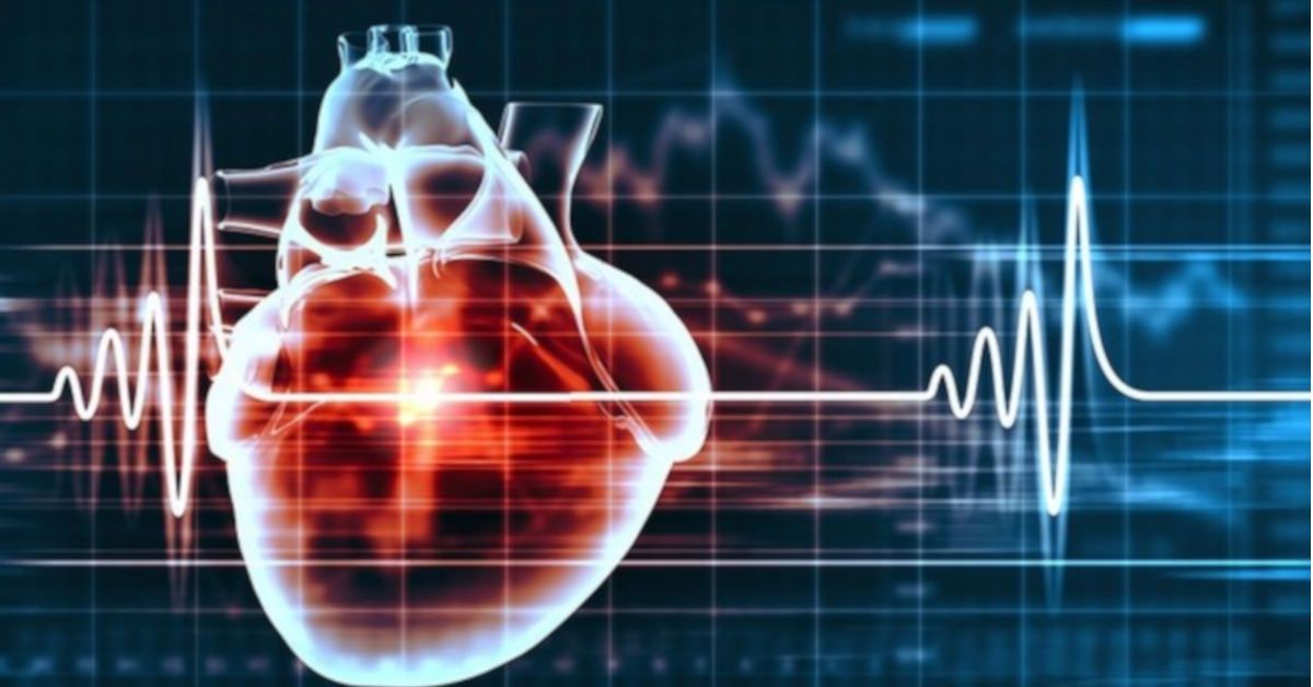 Trái tim thai đã hoàn thiện như thế nào vào tuần thứ 7?
