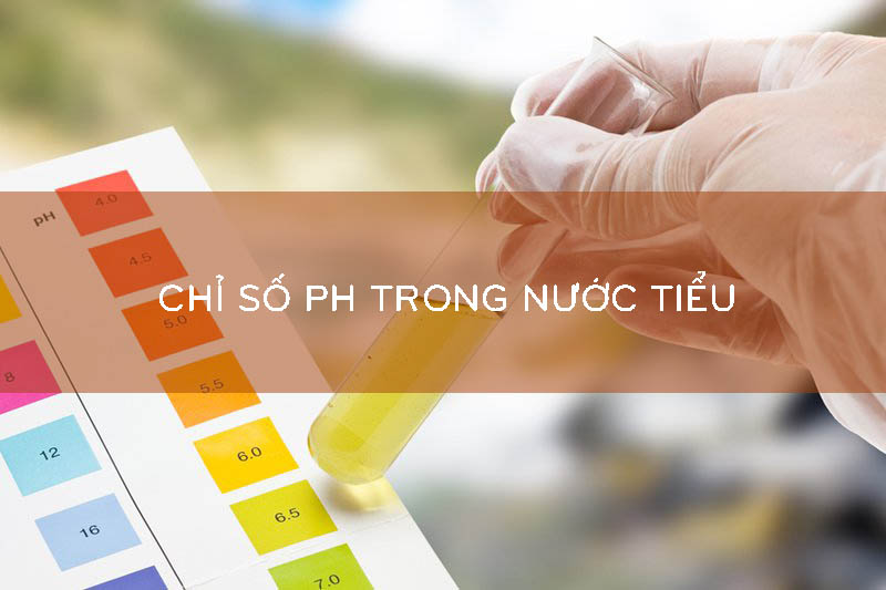 Giá trị pH bình thường của nước tiểu là bao nhiêu?
