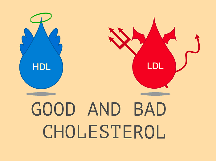 Những điều cần biết về Cholesterol