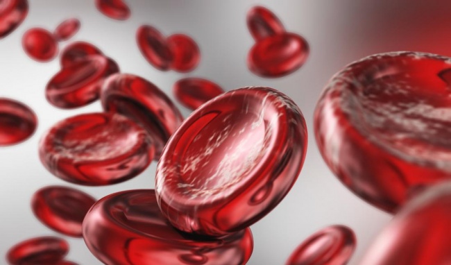 Các loại Hemoglobin và ý nghĩa trong cơ thể