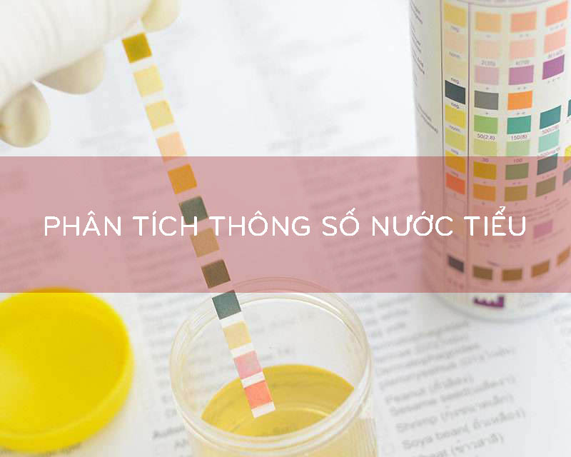 Các thông số cơ bản mà máy xét nghiệm này có thể đo được là gì? 
