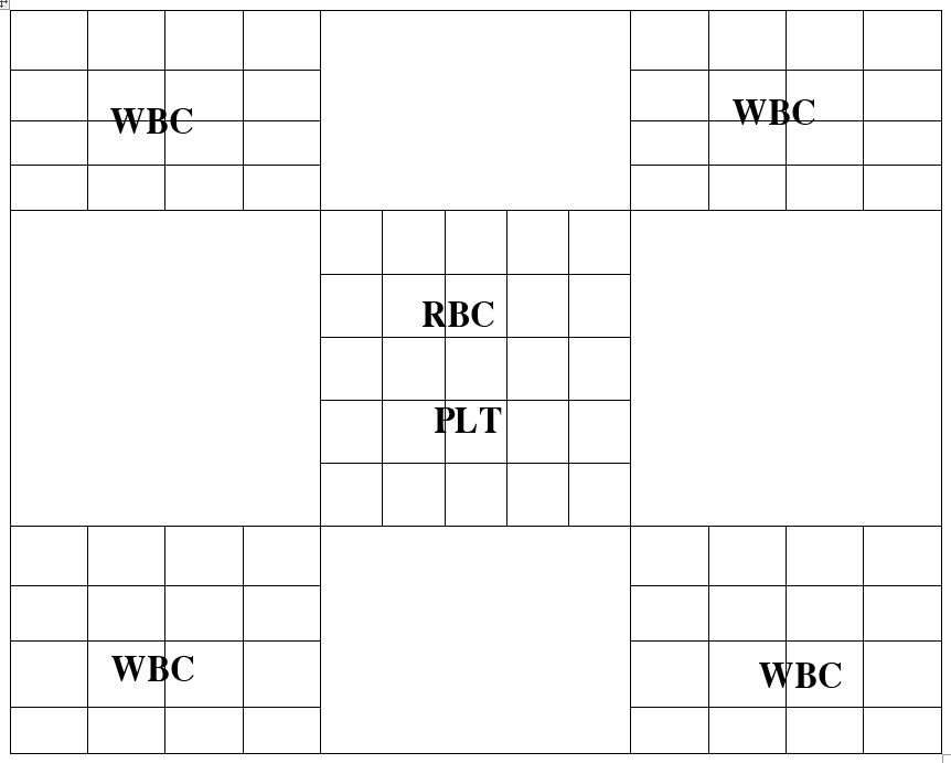 Kỹ thuật đếm số lượng hồng cầu: Phương pháp và ứng dụng trong y học