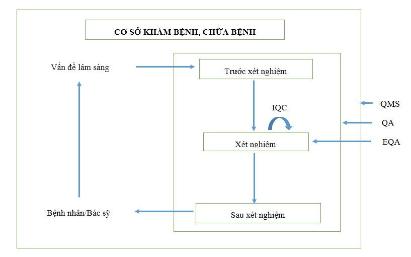 3. Các Tiêu Chuẩn Quốc Tế Về Quản Lý Chất Lượng