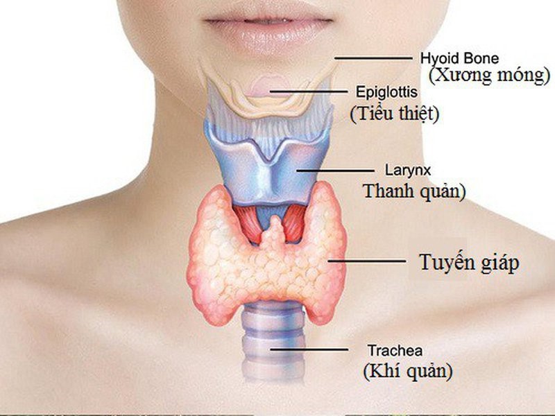 Các phương pháp chẩn đoán sa tuyến giáp